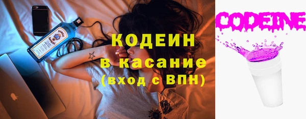 индика Балахна