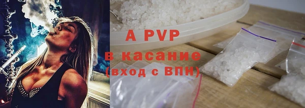 крисы Баксан