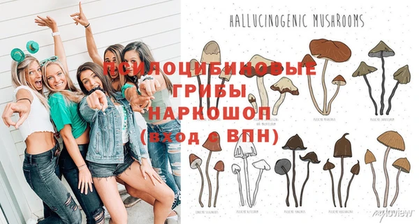 индика Балахна