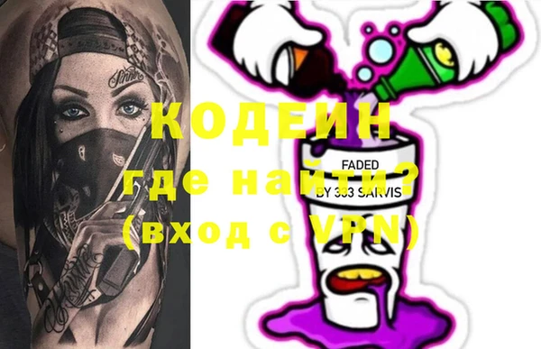 индика Балахна