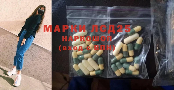 индика Балахна