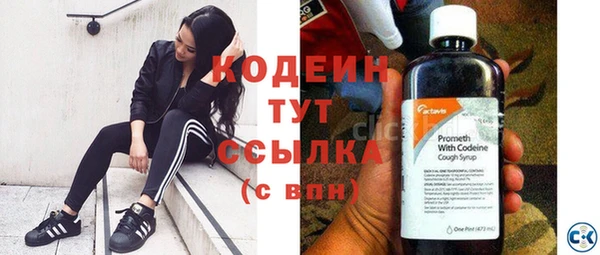СК Снежногорск