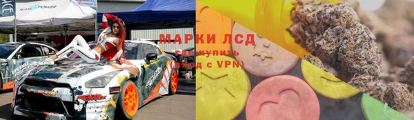 индика Балахна