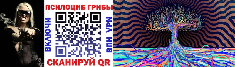 МЕГА рабочий сайт  даркнет сайт  Ленск  Галлюциногенные грибы Psilocybe 